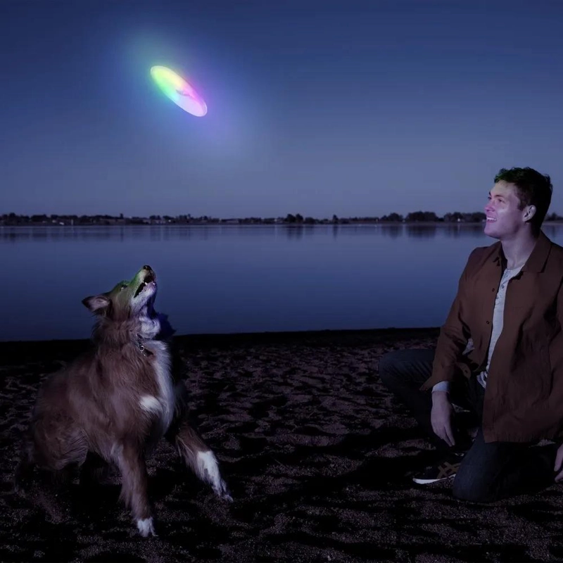 DISCO VOLADOR ILUMINADO PARA PERROS CON LED - 1