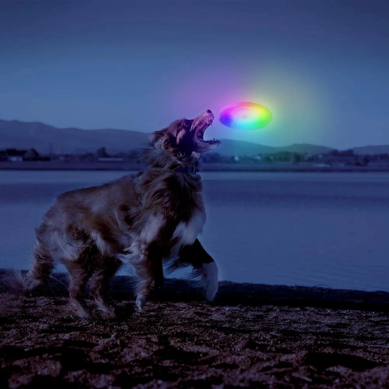 DISCO VOLADOR ILUMINADO PARA PERROS CON LED - 3