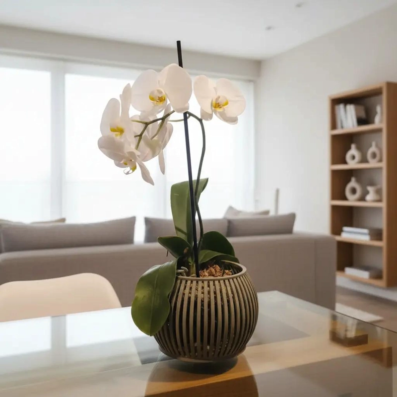 MACETA GRANDE PARA ORQUIDEAS CON DISEÑO VENTILADO - 3
