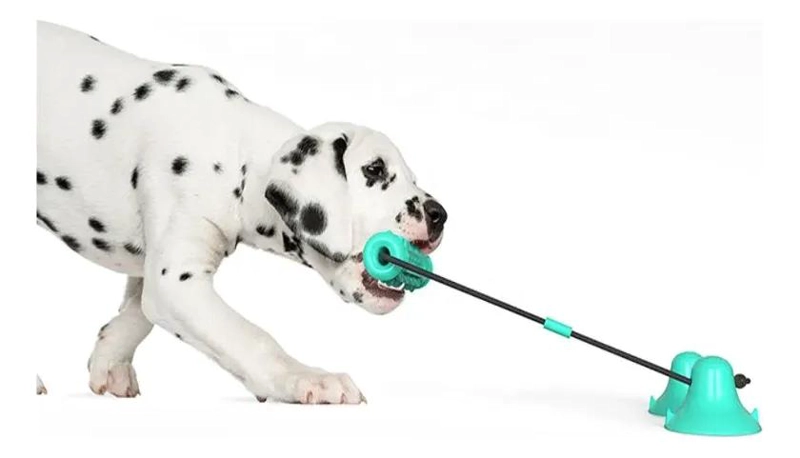 JUGUETE INTERACTIVO PARA PERROS CON DISPENSADOR DE PREMIOS - 1