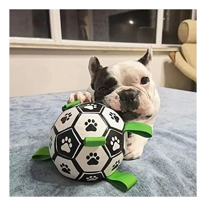 PELOTA INTERACTIVA PARA PERROS CON AGARRE Y FLOTANTE - 2