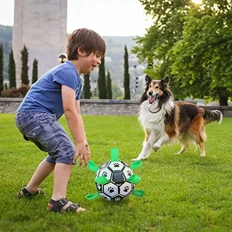PELOTA INTERACTIVA PARA PERROS CON AGARRE Y FLOTANTE - 3
