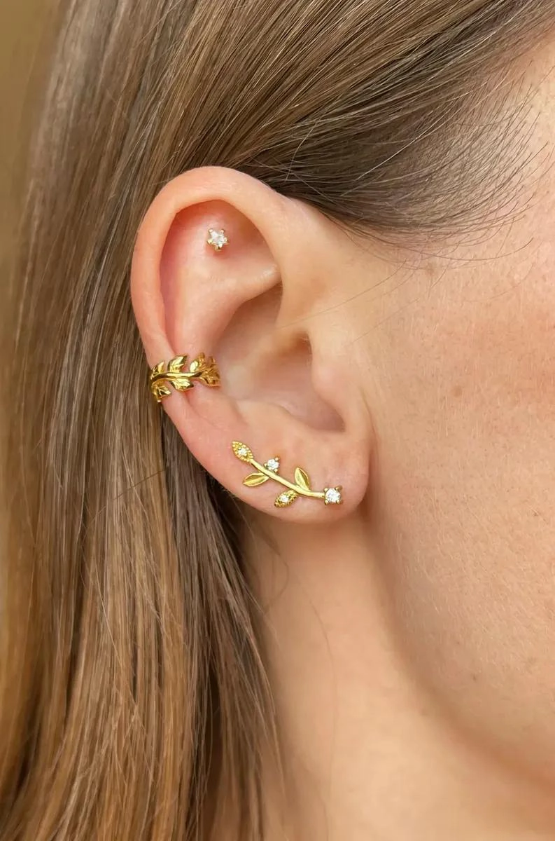 AROS TREPADORES DORADOS CON DISEÑO DE HOJAS EN PLATA 925 - 2