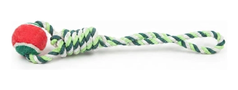 JUGUETE INTERACTIVO PARA MASCOTAS CON ASA Y PELOTA 40CM - 2