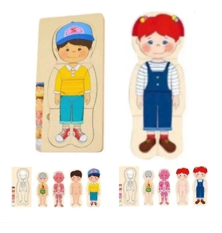 ROMPECABEZAS EDUCATIVO DE CUERPO HUMANO EN MADERA MULTICAPA - 1