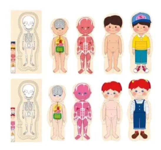 ROMPECABEZAS EDUCATIVO DE CUERPO HUMANO EN MADERA MULTICAPA - 5