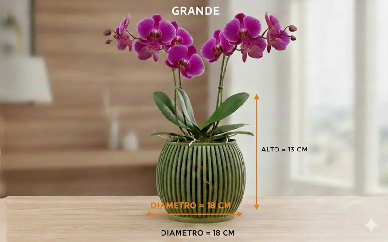 MACETA ZEN PARA ORQUIDEAS CON DRENAJE EFICIENTE - 3