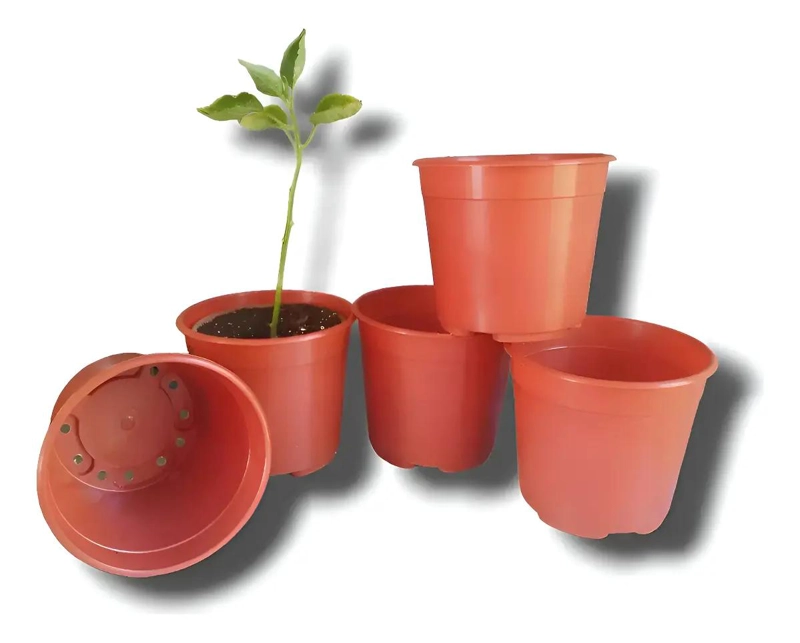 PACK DE 50 MACETAS PLASTICAS PARA PLANTULAS Y CULTIVOS - 1