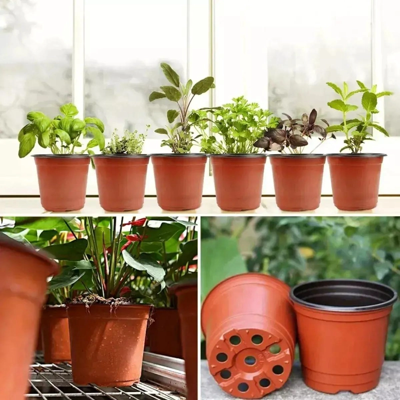 PACK DE 50 MACETAS PLASTICAS PARA PLANTULAS Y CULTIVOS - 2