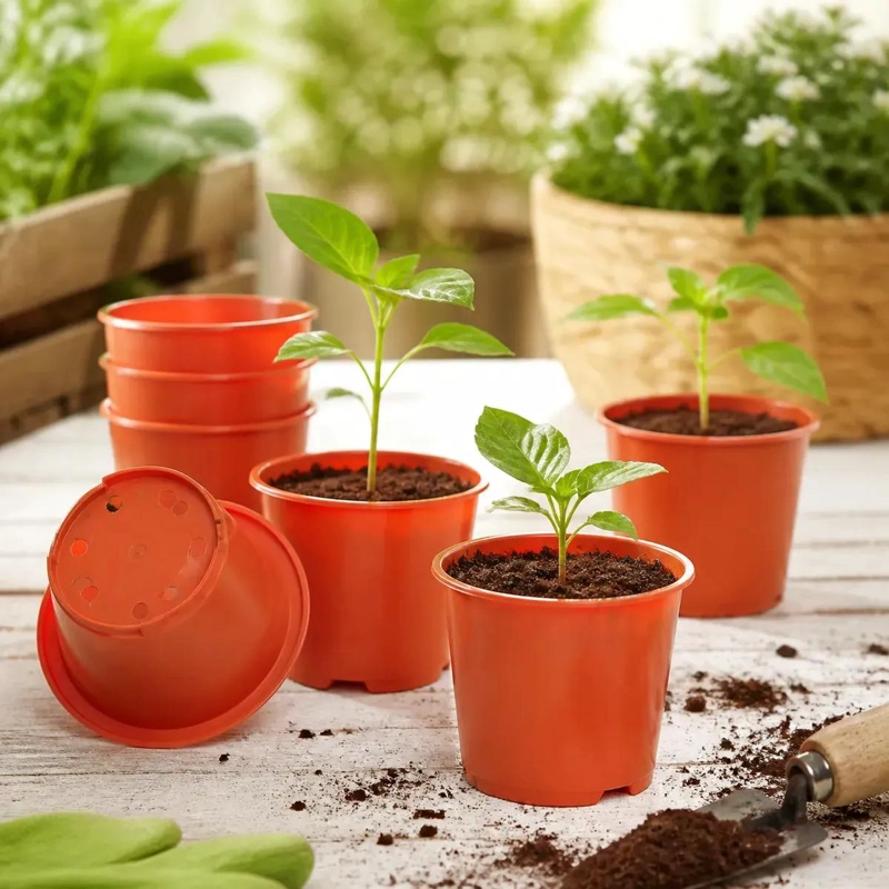 PACK DE 50 MACETAS PLASTICAS PARA PLANTULAS Y CULTIVOS - 7