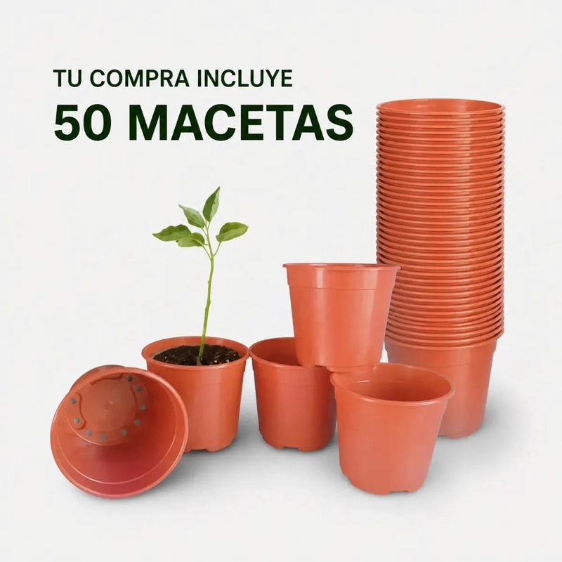 PACK DE 50 MACETAS PLASTICAS PARA PLANTULAS Y CULTIVOS - 9