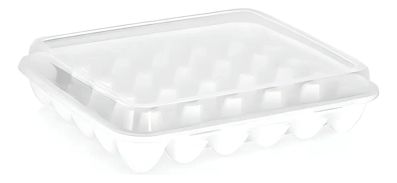 HUEVERA PLASTICA TRANSPARENTE PARA 30 HUEVOS CON TAPA - 2