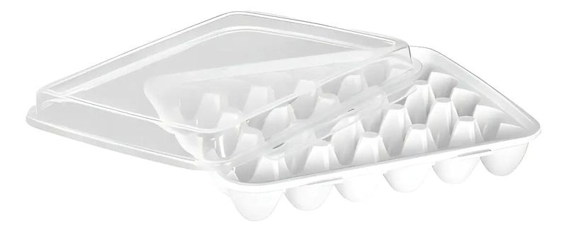 HUEVERA PLASTICA TRANSPARENTE PARA 30 HUEVOS CON TAPA - 3