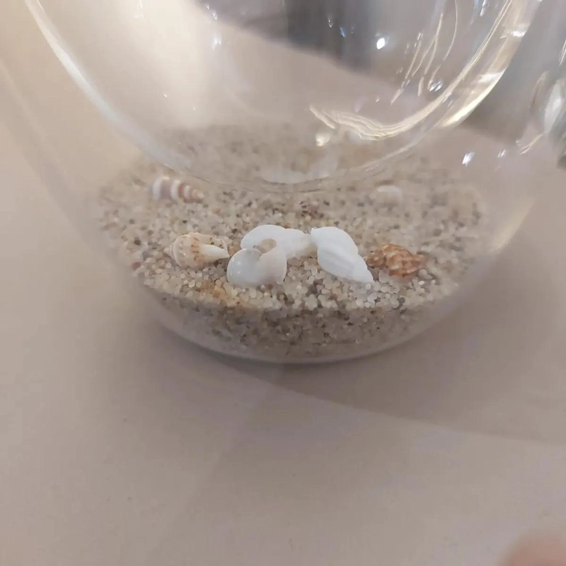 VASO DOBLE FONDO CON DISEÑO DE ARENA Y CONCHITAS - 2