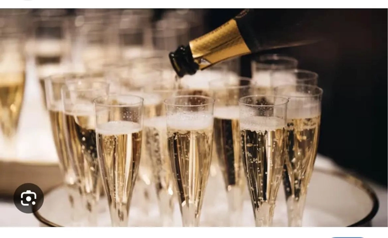 COPAS DE PLASTICO TRANSPARENTES PARA CHAMPAGNE Y POSTRES - 4