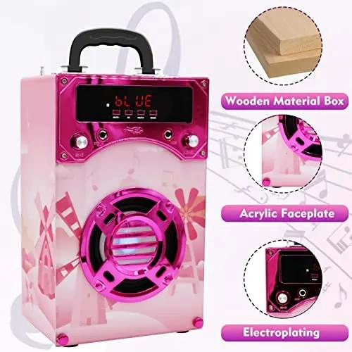 MAQUINA DE KARAOKE INFANTIL CON DOS MICROFONOS Y ALTAVOZ - 2