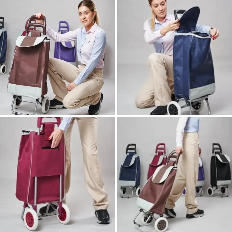 CARRO DE COMPRAS MULTIFUNCIONAL CON RUEDAS RESISTENTES - 7