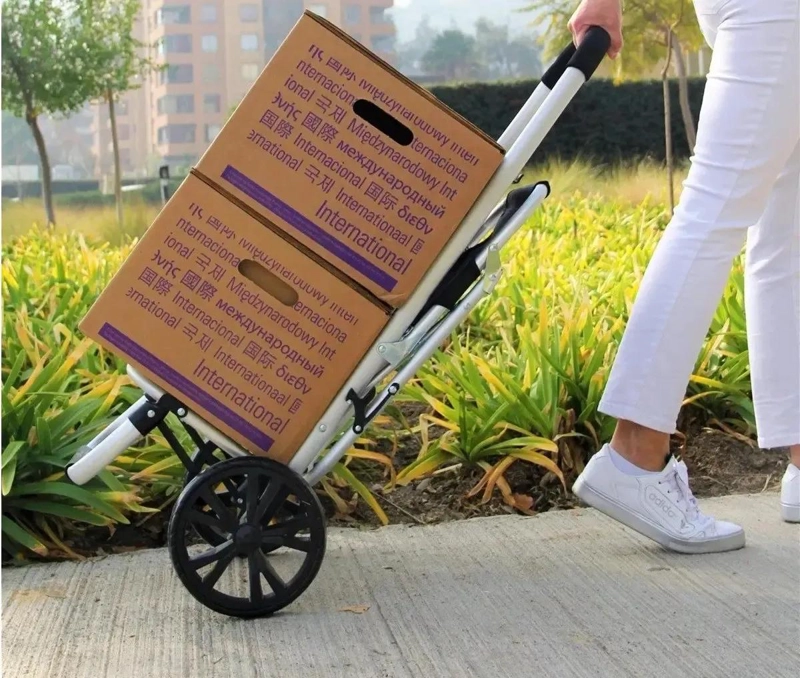 CARRO PLEGABLE DE COMPRAS CON ASIENTO Y BOLSA IMPERMEABLE - 4