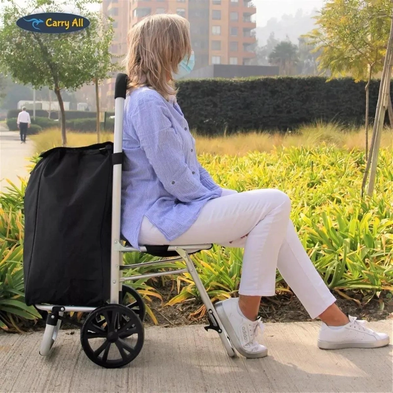 CARRO PLEGABLE DE COMPRAS CON ASIENTO Y BOLSA IMPERMEABLE - 8