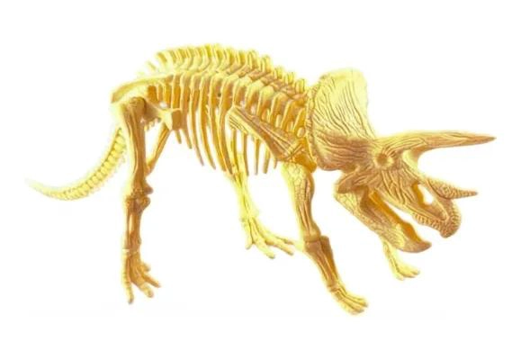 SET EDUCATIVO DE ESQUELETOS DE DINOSAURIOS PARA NIÑOS - 1