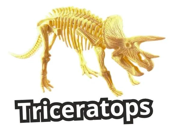 SET EDUCATIVO DE ESQUELETOS DE DINOSAURIOS PARA NIÑOS - 2
