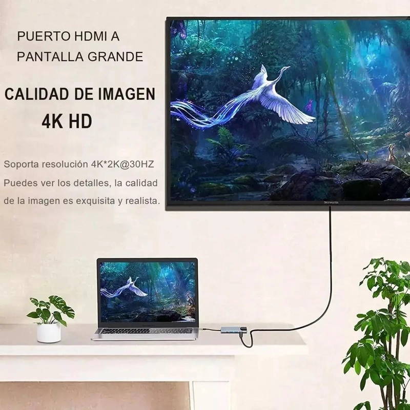 HUB ADAPTADOR USB TIPO C 5 EN 1 CON HDMI Y ETHERNET - 4
