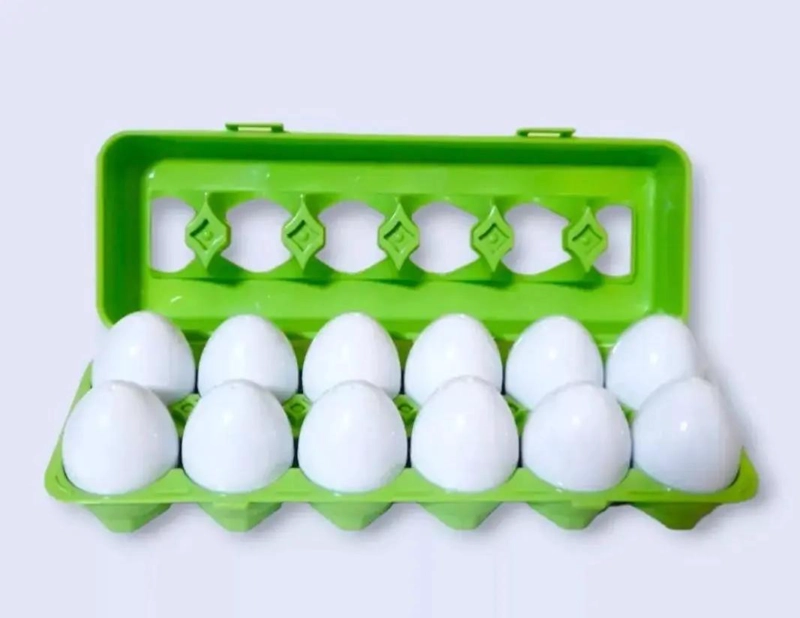 JUGUETE EDUCATIVO HUEVOS MONTESSORI PARA CLASIFICACION DE COLORES - 2