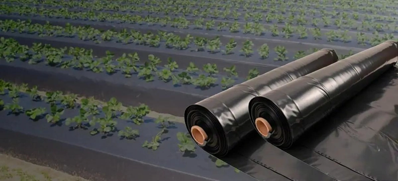 COBERTOR DE POLIETILENO NEGRO IMPERMEABLE 4M X 5M PARA PROTECCION - 9