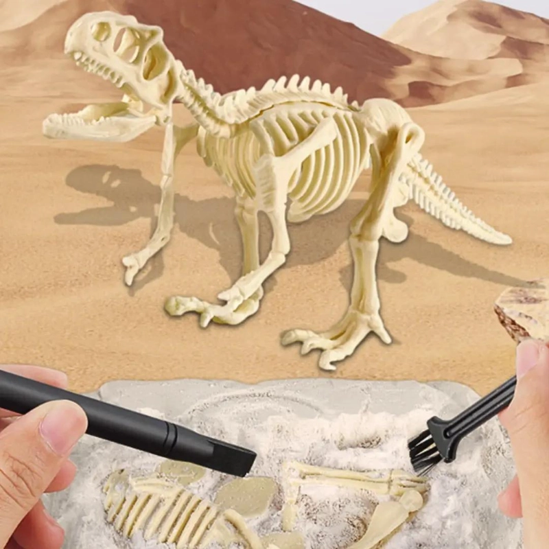KIT DE EXCAVACION DE FOSILES DE DINOSAURIOS PARA NIÑOS - 5