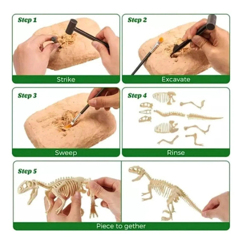 KIT DE EXCAVACION DE FOSILES DE DINOSAURIOS PARA NIÑOS - 7