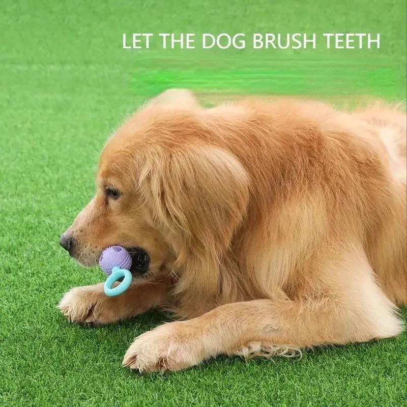 JUGUETE DISPENSADOR PARA MASCOTAS CON SUPERFICIE LIMPIA DIENTES - 4