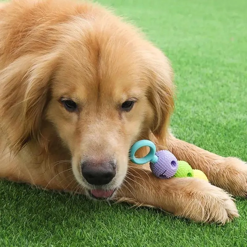 JUGUETE DISPENSADOR PARA MASCOTAS CON SUPERFICIE LIMPIA DIENTES - 6