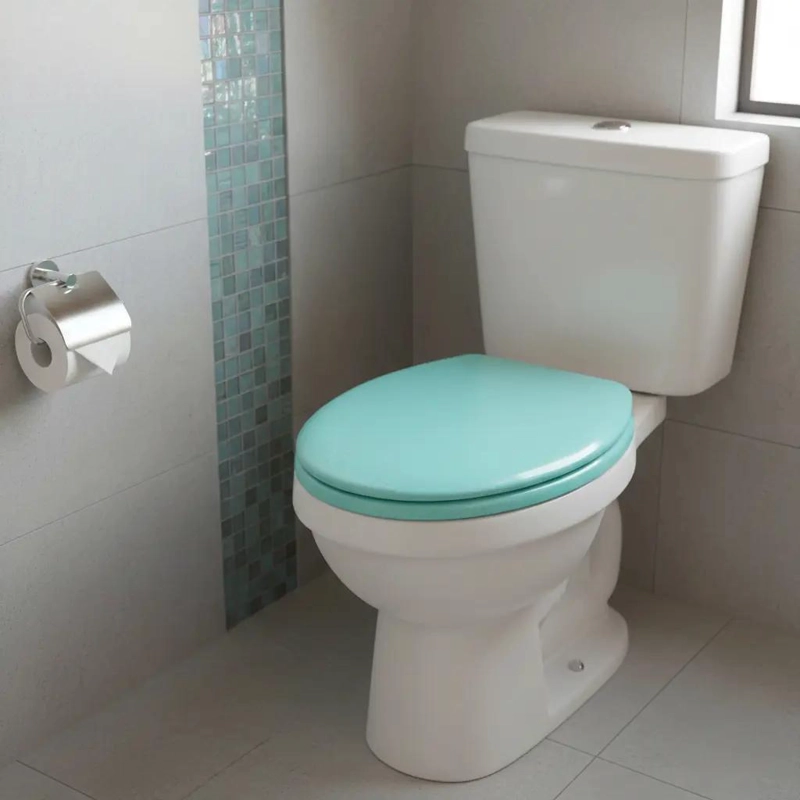 TAPA DE ASIENTO INODORO COLOR CELESTE PARA BAÑO - 1