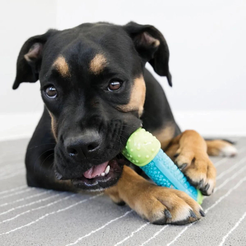 HUESO DENTAL TEXTURIZADO PARA PERROS S/M RESISTENTE - 2