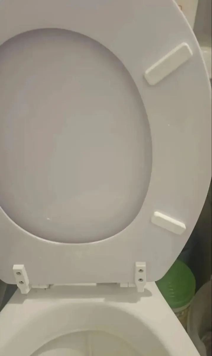 TAPA DE INODORO REDONDA DE MADERA MOLDEADA PARA BAÑO - 2
