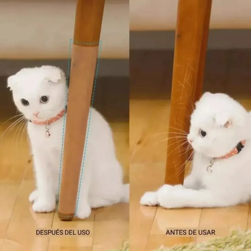 PROTECTOR ADHESIVO PARA MUEBLES CONTRA ARAÑAZOS DE GATO - 4