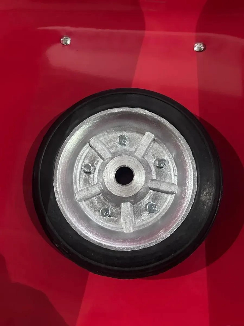 RUEDA DE CARRO DE 8 PULGADAS CON BUJE METALICO - 2