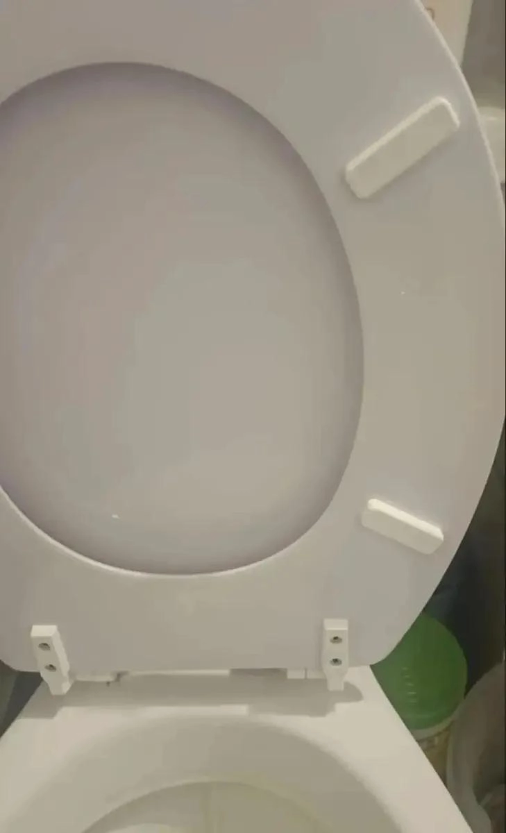 ASIENTO DE INODORO DE MADERA ELEGANTE Y FUNCIONAL - 3