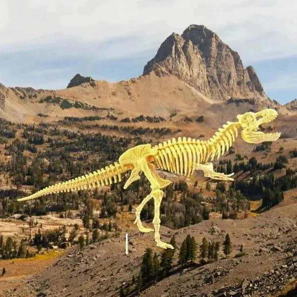 SET EDUCATIVO DE ESQUELETOS DE DINOSAURIOS PARA NIÑOS - 1