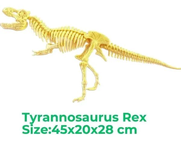 SET EDUCATIVO DE ESQUELETOS DE DINOSAURIOS PARA NIÑOS - 2