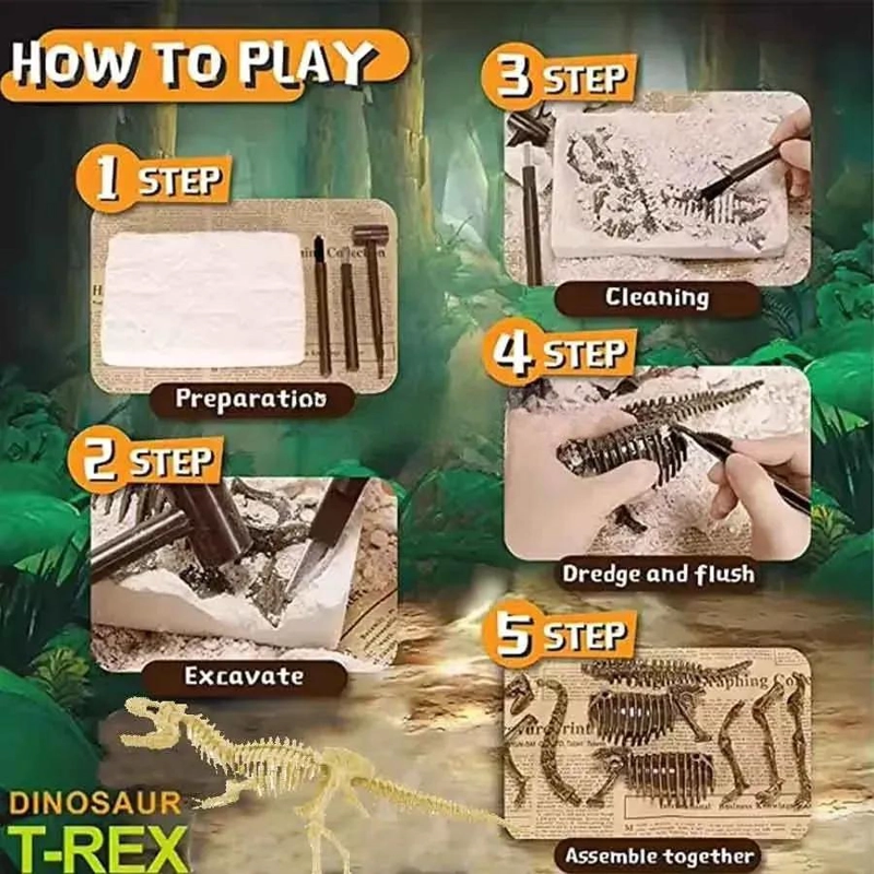 SET EDUCATIVO DE ESQUELETOS DE DINOSAURIOS PARA NIÑOS - 4