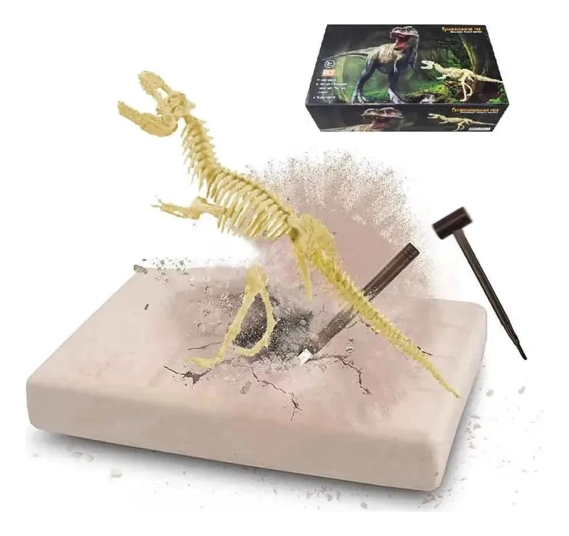 SET EDUCATIVO DE ESQUELETOS DE DINOSAURIOS PARA NIÑOS - 7
