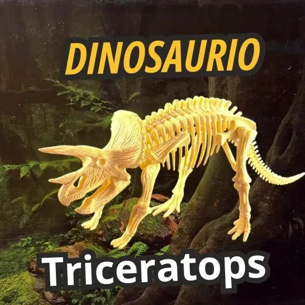 SET EDUCATIVO DE ESQUELETOS DE DINOSAURIOS PARA NIÑOS - 2
