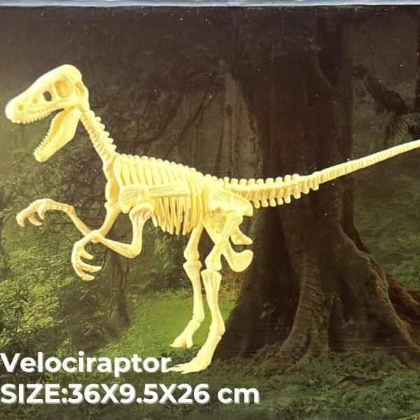 SET EDUCATIVO DE ESQUELETOS DE DINOSAURIOS PARA NIÑOS - 5