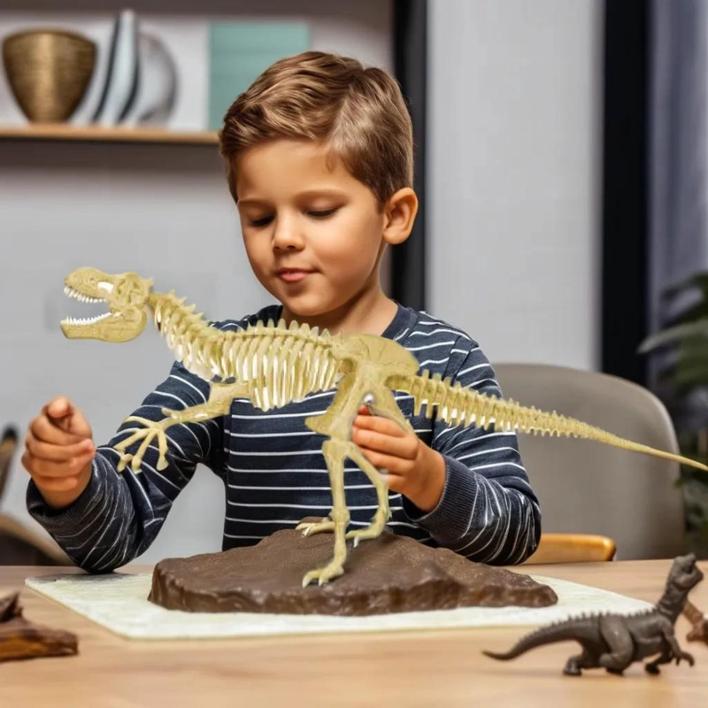 SET EDUCATIVO DE ESQUELETOS DE DINOSAURIOS PARA NIÑOS - 7