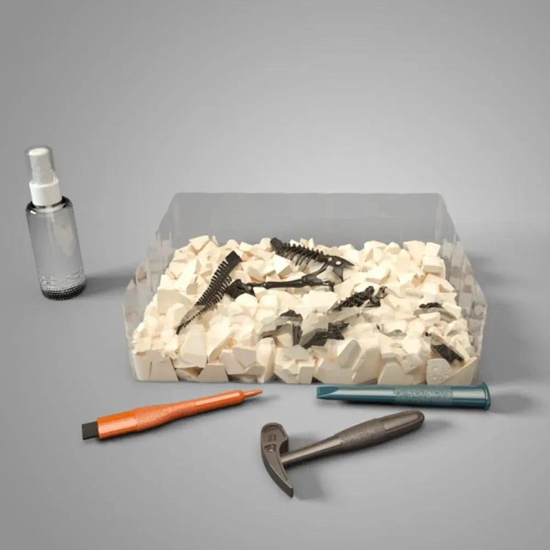 JUEGO DE EXCAVACION DE FOSILES CON HERRAMIENTAS EDUCATIVAS - 3
