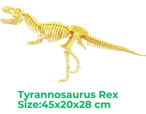 SET EDUCATIVO DE ESQUELETOS DE DINOSAURIOS PARA NIÑOS - 2