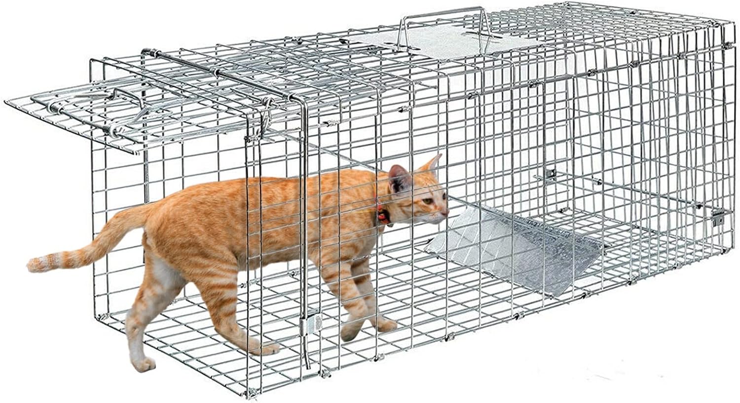 JAULA GATOS TRAMPA CAPTURA RESCATE ANIMAL - 2