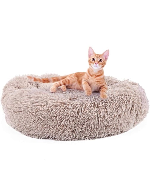 CAMA COJIN CHIPORRO REDONDO 50CM BEIGE - 3