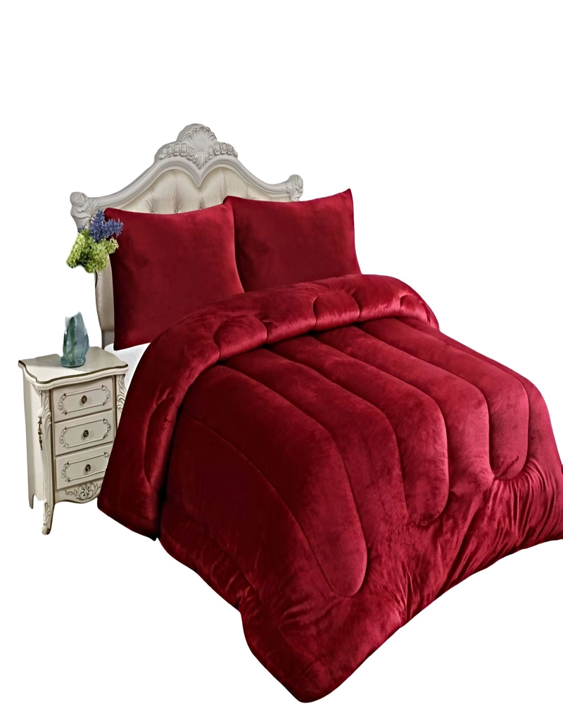 SET COBERTOR DE INVIERNO PLUSH 1.5 PLAZA 180X200CM P13 - 1